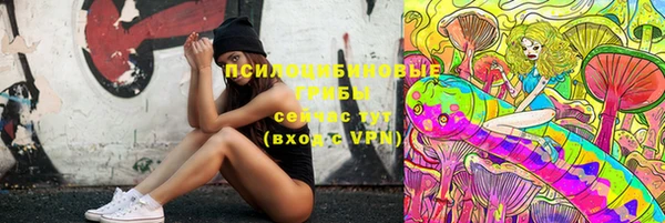 ECSTASY Абаза