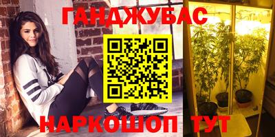 СК Лесосибирск