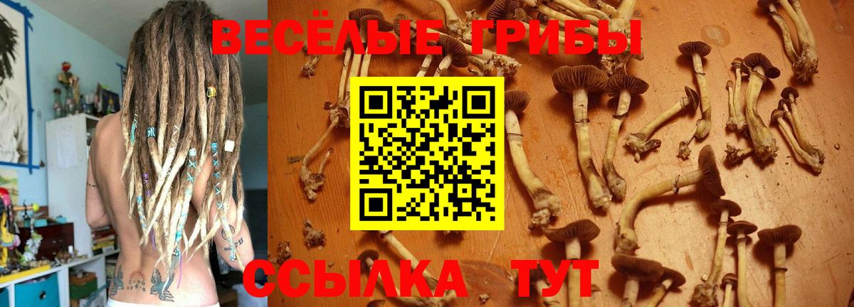 Псилоцибиновые грибы ЛСД  Галлюциногенные грибы Magic Shrooms  Каменск-Шахтинский  Вход с VPN 