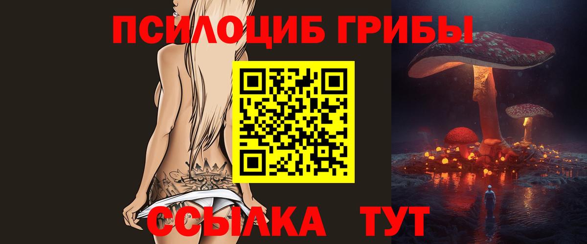 Псилоцибиновые грибы мухоморы Каменск-Шахтинский